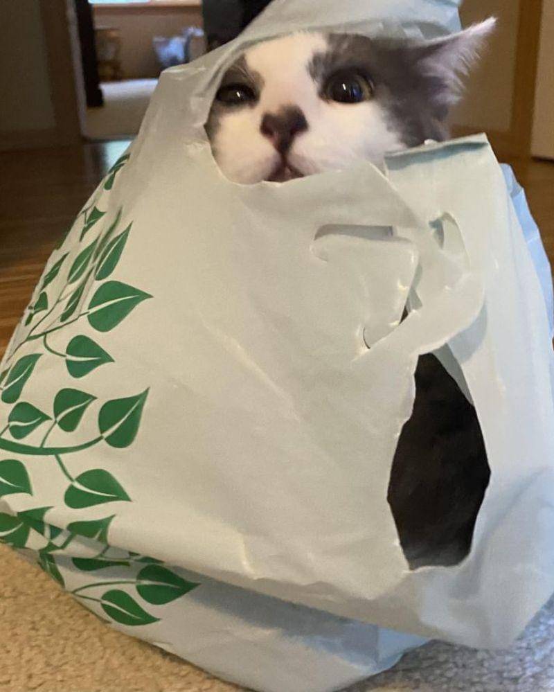 reddit.com/SeaLass34